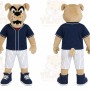 Baseball Bear Mascot Costume