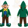 Green Elf Boy Mascot Costume