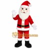 Santa Claus Mascot Costume