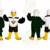 Eagle Mascot Pair Mascot Costume