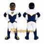 Superhero Character Mascot Costume