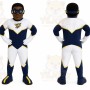 Superhero Character Mascot Costume