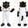 Cartoon Wolf Mascot Costume
