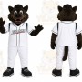 Cartoon Wolf Mascot Costume