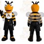 Black Bee Mascot Costume