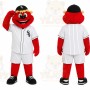 Red Baseball Boy Mascot Costume