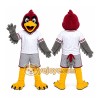 Sports Bird Mascot Costume