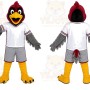 Sports Bird Mascot Costume