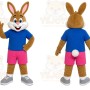 Rabbit Blue Shirt Mascot Costume