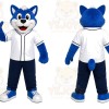 Blue Fox Sports Mascot Costume