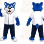 Blue Fox Sports Mascot Costume