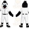 Black Bird Baseball Uniform Raven Mascot Costume