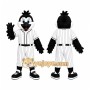 Black Bird Baseball Uniform Raven Mascot Costume