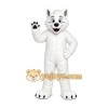White Wolf Mascot Costume