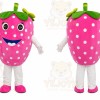 Pink Strawberry Mascot Costume