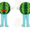 Watermelon Character Mascot Costume