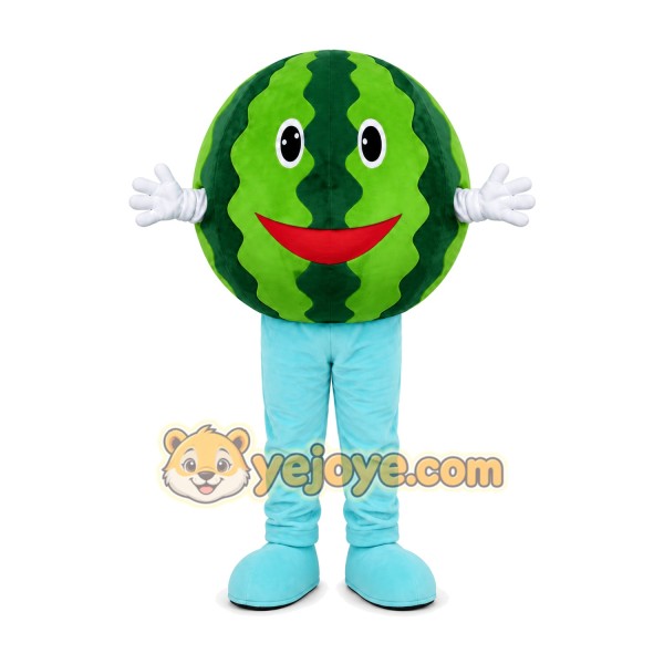 Watermelon Character Mascot Costume