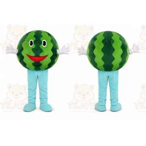 Watermelon Character Mascot Costume