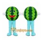 Watermelon Character Mascot Costume