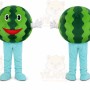 Watermelon Character Mascot Costume