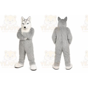 Gray Wolf Mascot Costume