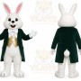 Green Rabbit Mascot Costume