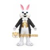 Gray Rabbit Mascot Costume Gray Rabbit Mascot Costume