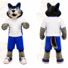 Blue Wolf Mascot Costume