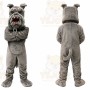 Gray Bulldog Mascot Costume