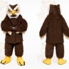 Brown Owl Mascot Costume