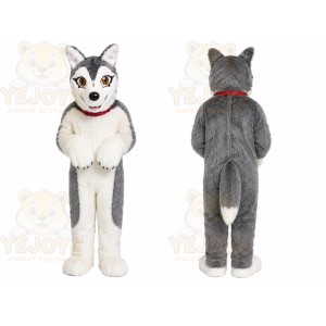 White Husky Mascot Costume