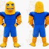 Yellow Sports Bird Mascot Costume