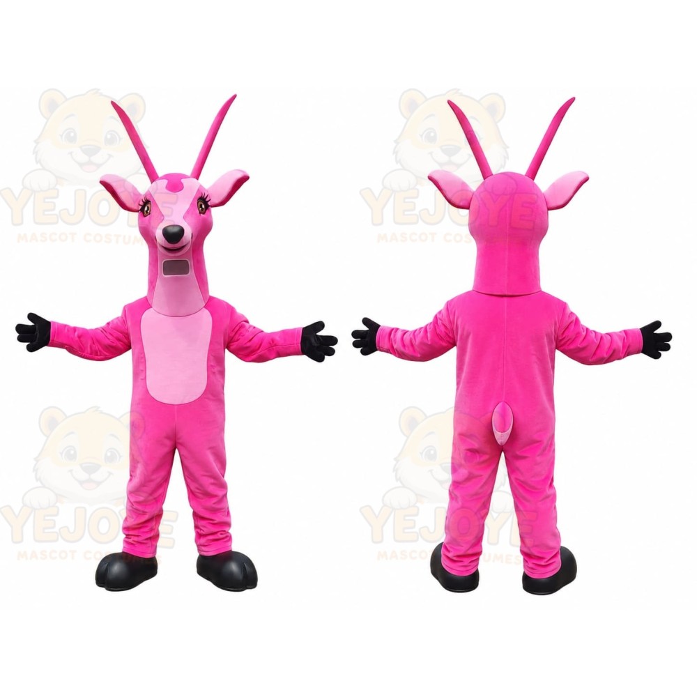 Pink Ant Mascot Costume