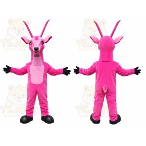 Pink Ant Mascot Costume