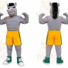 Gray Boxer Horse Mascot Costume