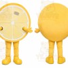 Lemon Slice Mascot Costume
