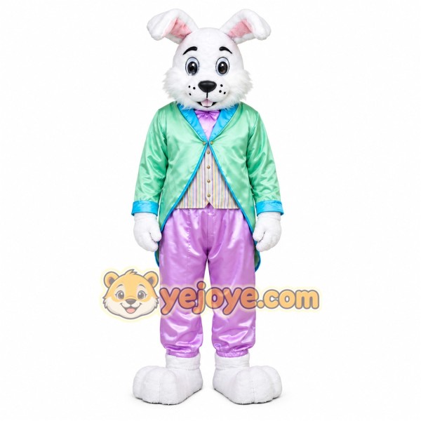 White Rabbit Tracksuit Mascot Costume