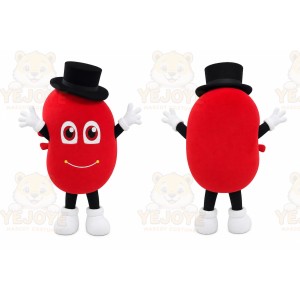 Red Heart Character Mascot Costume