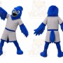 Blue Bird Cape Mascot Costume