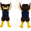Brown Owl Mascot Costume