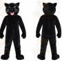 Black Wildcat Mascot Costume