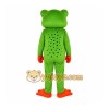Green Frog Mascot Costume