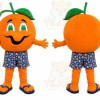 Orange Fruit Mascot Costume