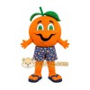 Orange Fruit Mascot Costume Orange Fruit Mascot Costume