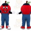 Apple Boy Mascot Costume