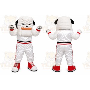 White Bulldog Sports Mascot Costume