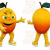 Orange Fruit Mascot Costume