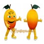 Orange Fruit Mascot Costume