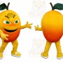 Orange Fruit Mascot Costume