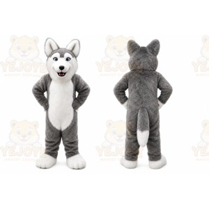 Gray Wolf Mascot Costume